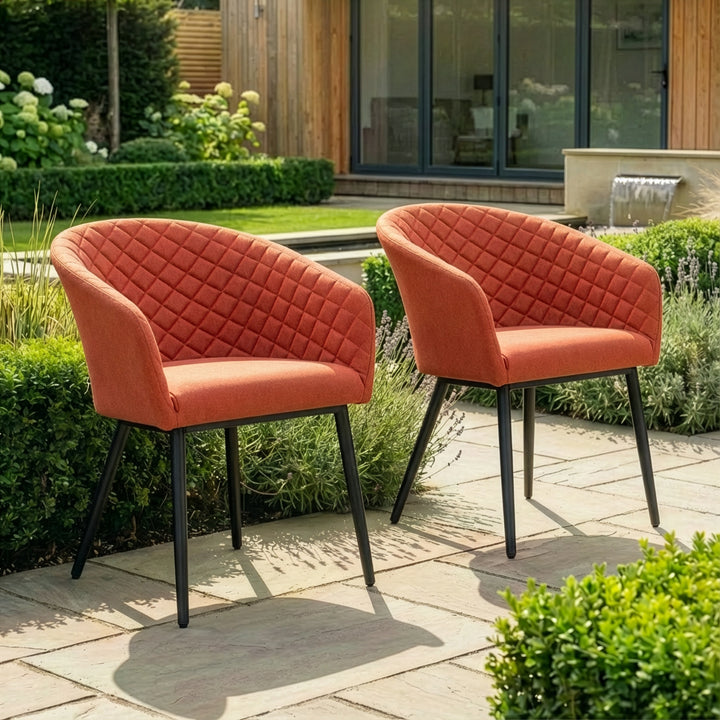 Ambition Dining Chairs x 2