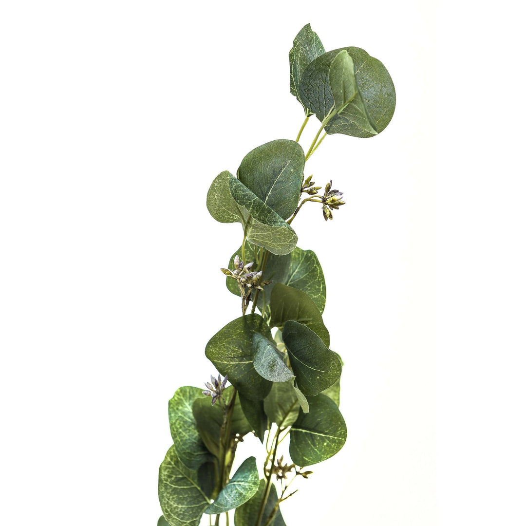 Eucalyptus Stem Spray - Modern Rattan Ltd