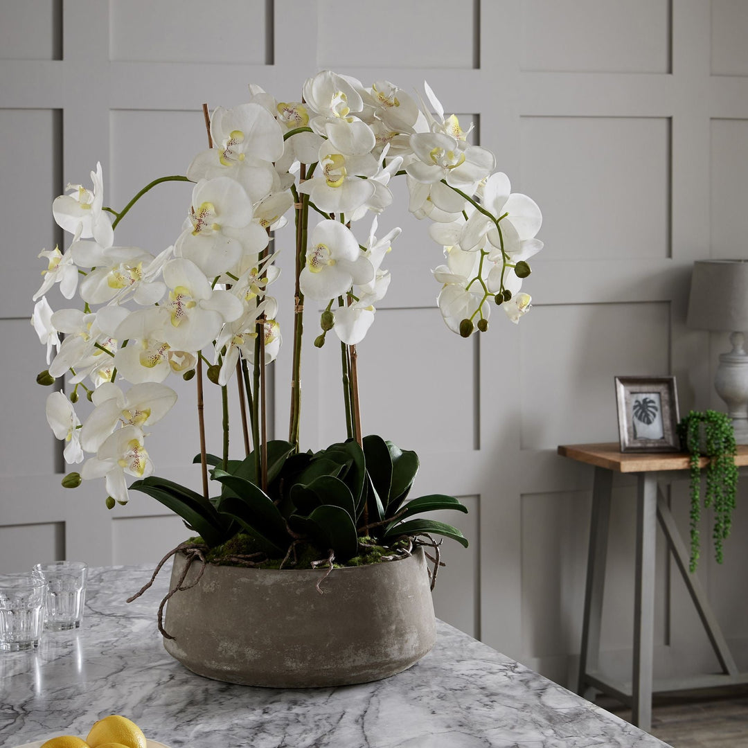 Large White Orchid In Stone Pot - Modern Rattan Ltd