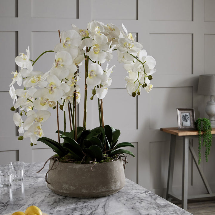 Large White Orchid In Stone Pot - Modern Rattan Ltd