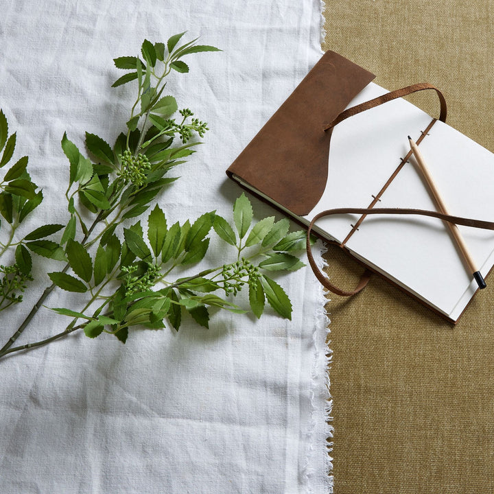 Long Fennel Stem - Modern Rattan Ltd