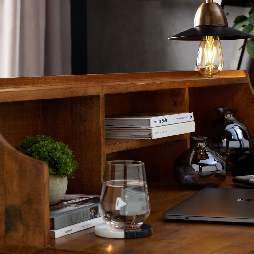 Miniature Hebe Veronica In Pot - Modern Rattan Ltd