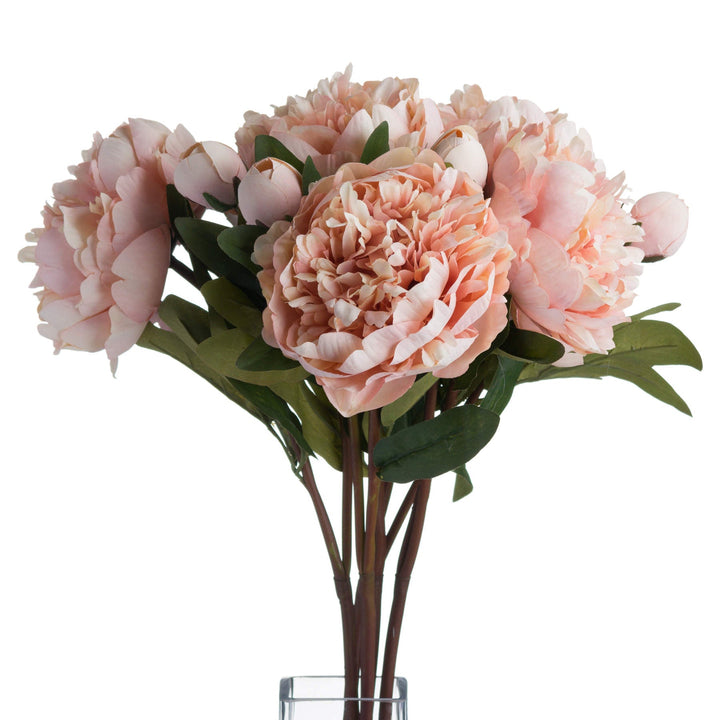 Peach Peony Rose - Modern Rattan Ltd