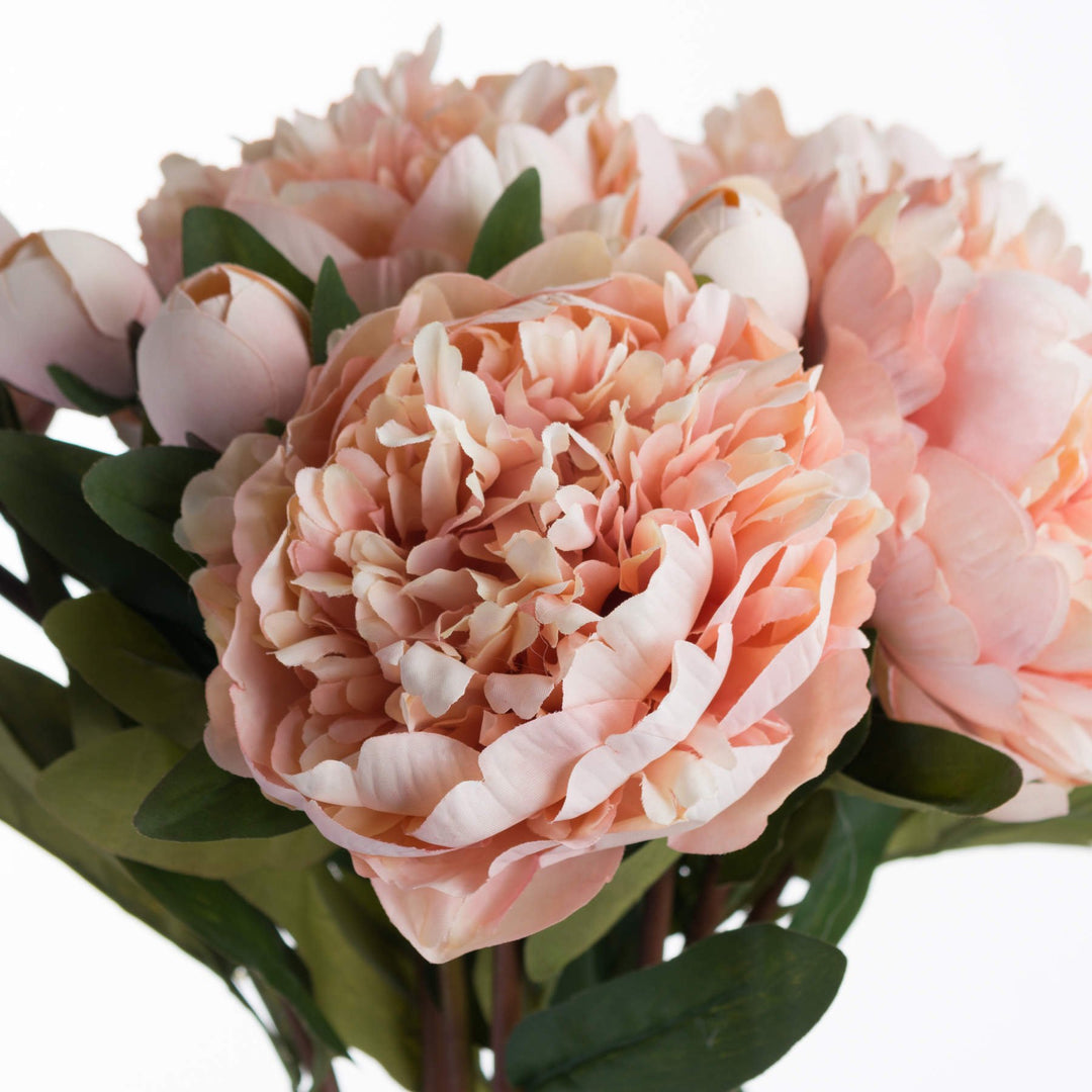 Peach Peony Rose - Modern Rattan Ltd