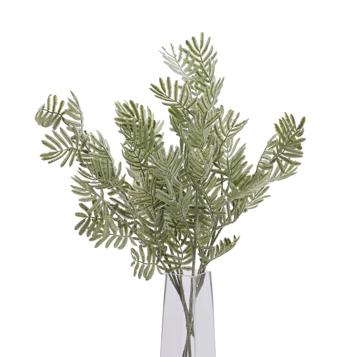 Silver Wattle Leaf - Modern Rattan Ltd
