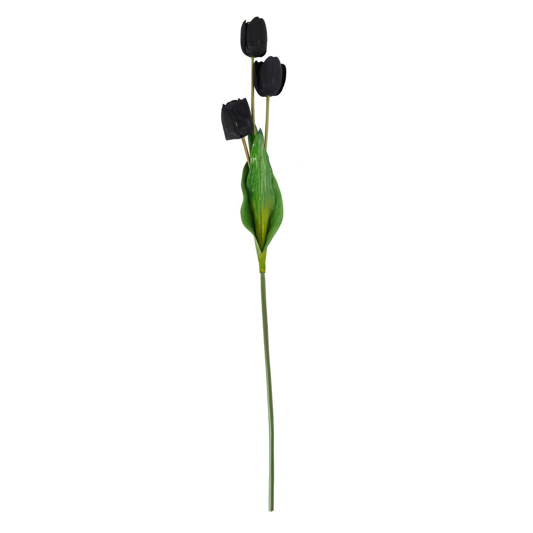 Tall Black Triple Tulip Stem - Modern Rattan Ltd