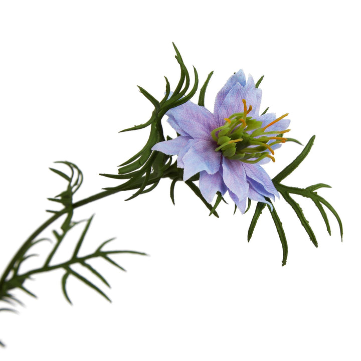 The Natural Garden Collection Purple Nigella Love In A Mist - Modern Rattan Ltd