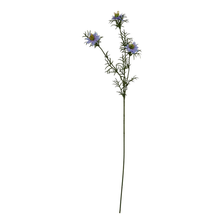 The Natural Garden Collection Purple Nigella Love In A Mist - Modern Rattan Ltd