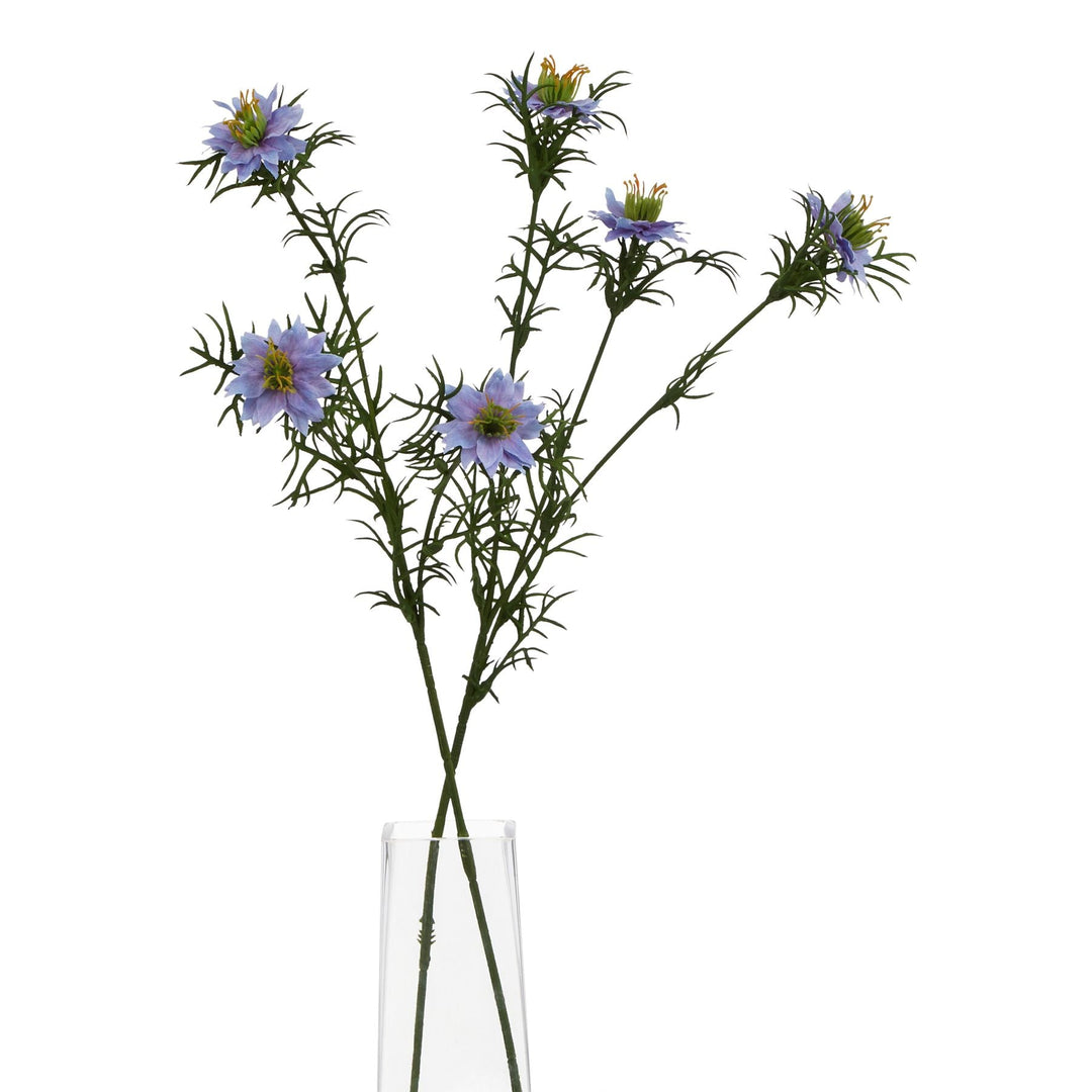 The Natural Garden Collection Purple Nigella Love In A Mist - Modern Rattan Ltd