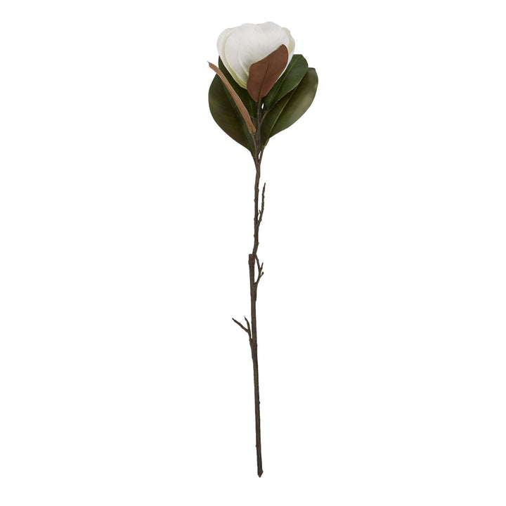 White Magnolia Stem - Modern Rattan Ltd